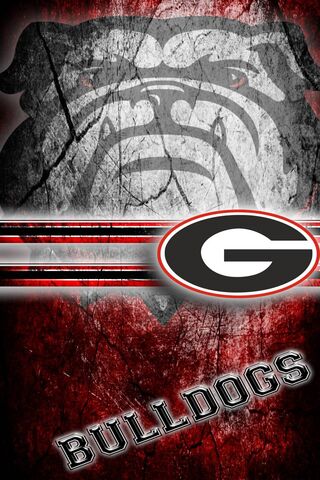 Georgia Bulldogs