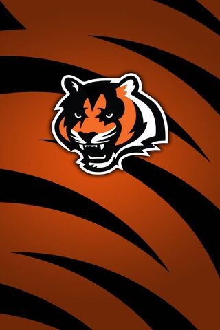 Cincinnati Bengals Phone Wallpaper  Mobile Abyss