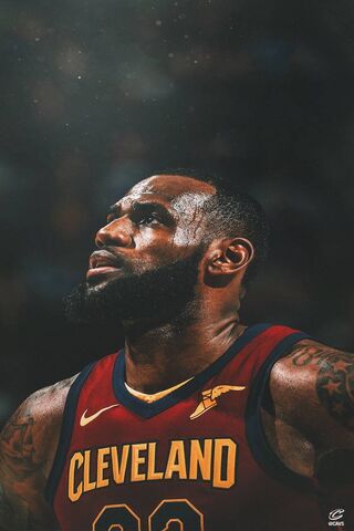 The King of the Court: ..