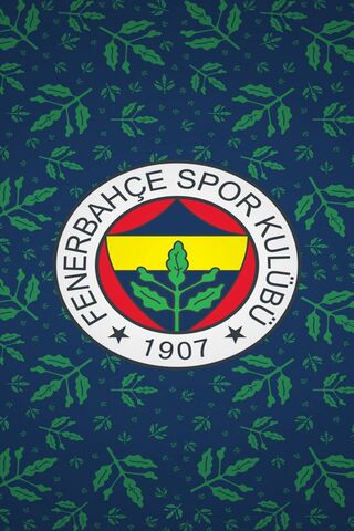 Fenerbahçe: The Heart of Turkish Sports! ⚽️💛💙