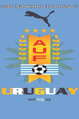 Uruguay: A Passion for Football ⚽🇺🇾