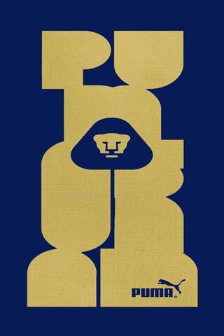 Pumas UNAM: The Spirit of the Jungle 🐾