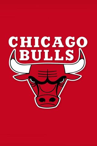 The Iconic Chicago Bull..