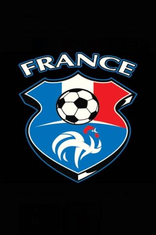 The Spirit of French Football 🇫🇷⚽