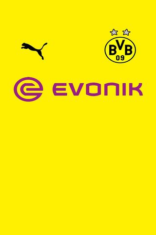 BVB 2018-2019: A Season..