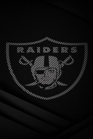 Raiders: The Spirit of the Game 🏈⚔️