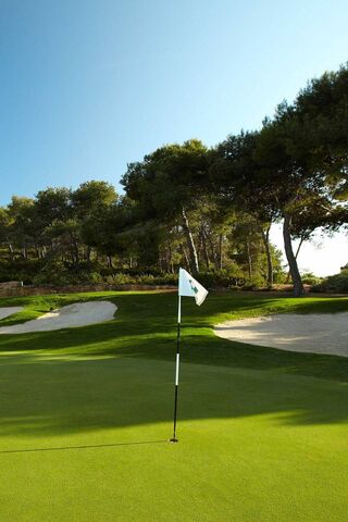 Tee Time Bliss: A Golfer's Paradise ⛳️🌳