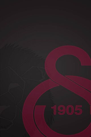 Roaring Pride: The Spirit of Galatasaray 🦁❤️
