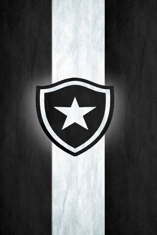 Botafogo: The Heart of Rio ⚽️❤️