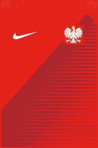 Polska Pride: The Iconic Jersey of Poland 🇵🇱⚽