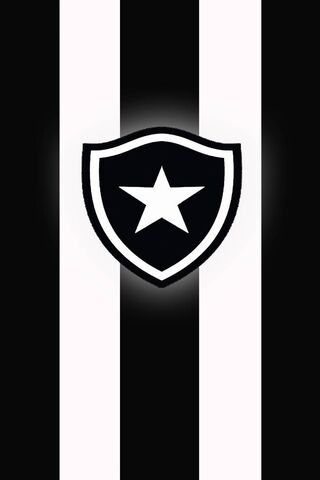 The Spirit of Botafogo ⚽️✨