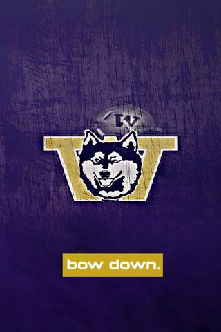 Husky Pride Unleashed! 🐾