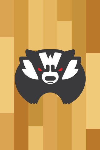 Bold Badgers: A Fierce ..