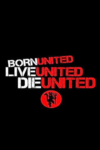 United We Stand: The Sp..