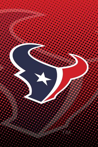 Houston Texans: A Bold Symbol of Team Spirit! 🏈🔥