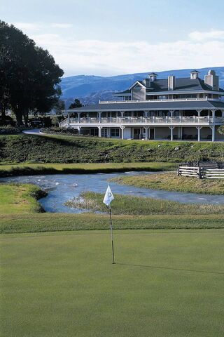 Tee Time at the Scenic Golf Course ⛳️🏌️