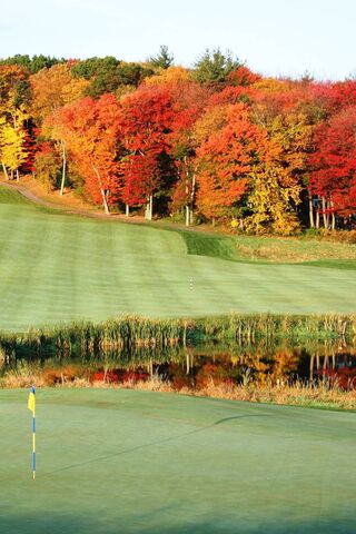 Autumn Serenity on the Golf Course 🍂⛳️