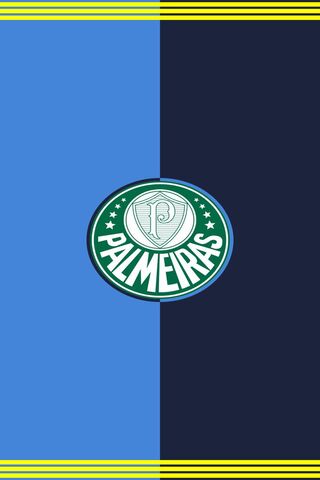 Palmeiras Pride: A Symbol of Passion ⚽💚