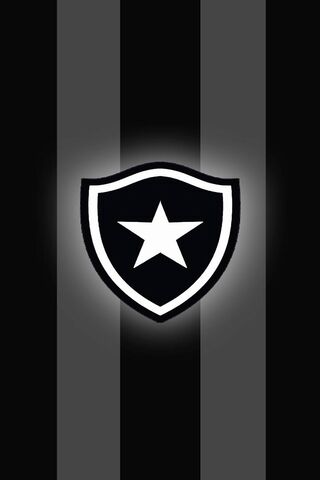 The Spirit of Botafogo ⚽️✨