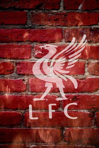 The Iconic Liverbird: A Symbol of Liverpool's Spirit 🦅❤️