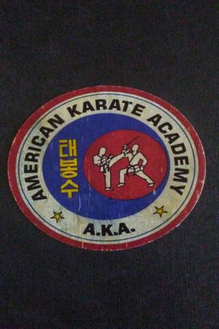Kickstart Your Journey: The American Karate Academy Emblem 🥋✨