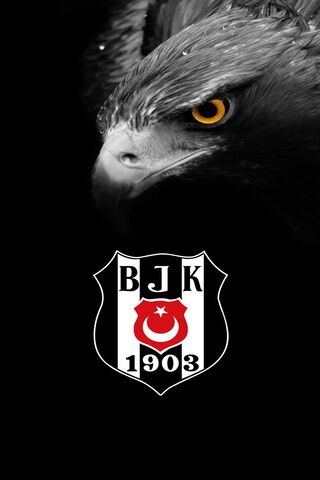 Bjk