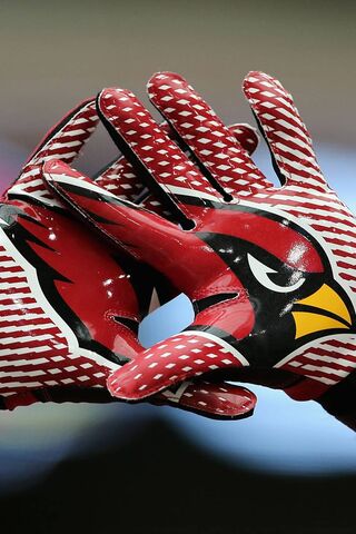 Game Day Gear: Arizona Cardinals Gloves 🏈🔥