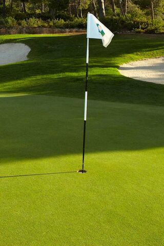 On the Green: A Golfer's Paradise ⛳️🌿