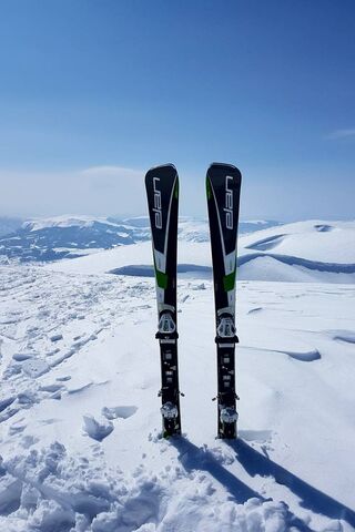 Elan Skis