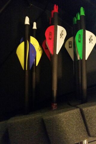 Precision in Flight: The Art of Archery 🎯