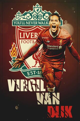 Virgil van Dijk defender dutch football van dijk virgil red soccer  ynwa HD wallpaper  Peakpx