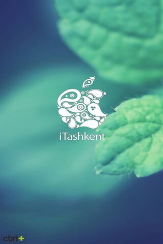 iTashkent: A Fresh Take on Nature