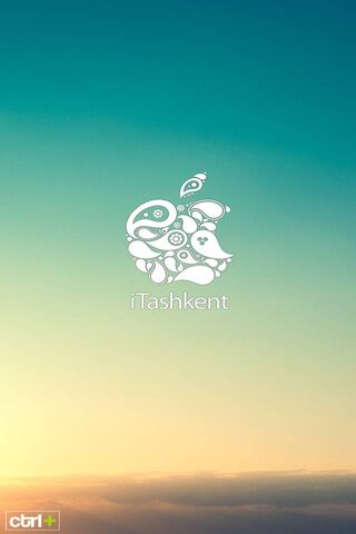 iTashkent: A Fusion of Technology and Culture 🌍🍏