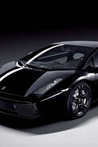 Midnight Majesty: The Lamborghini Gallardo
