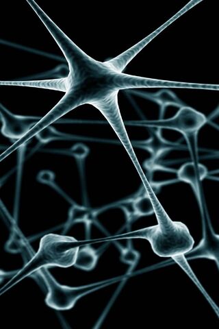 Connections of the Mind: A Glimpse into Synapses 🧠✨