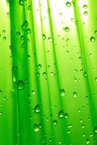 Emerald Serenity: Nature's Refreshing Touch 🌿💧