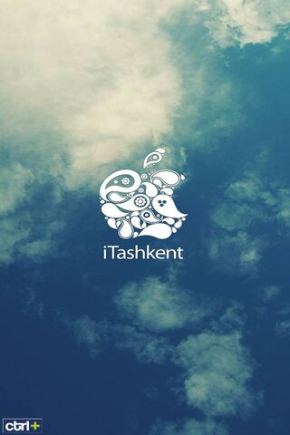 iTashkent: A Creative Cloudscape 🌥️✨