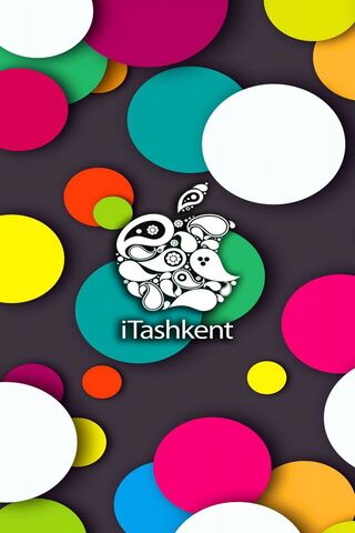 Colorful Vibes of iTashkent 🎨✨