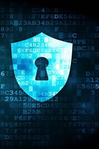 Guardians of the Digital Realm 🛡️🔐