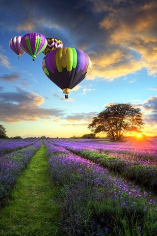Soaring Colors: A Balloon Adventure