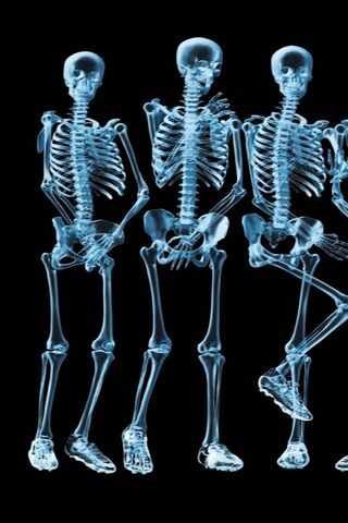 X-Ray Wonders: A Peek Inside