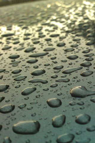 Nature's Tiny Jewels: T..