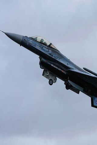 Viper in Action: The Sky's Elite Predator 🐍✈️