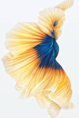 Dancing Waves of Blue a..