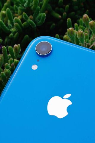 Vibrant Blue: The iPhone Experience 📱💙