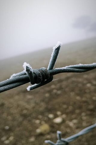 Frosty Embrace: The Chill of Soguk Hava ❄️