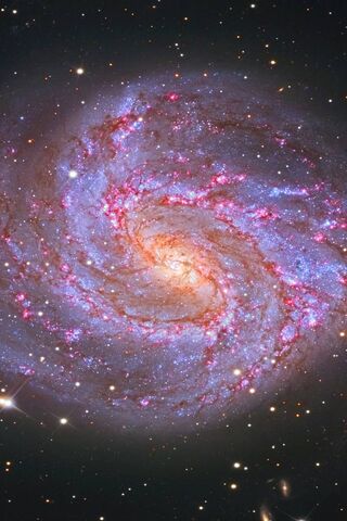 Whirling Wonders: The Pinwheel Galaxy 🌌✨