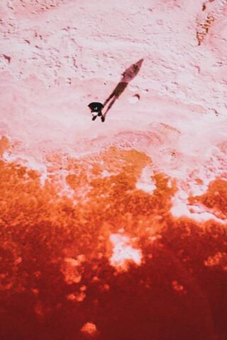 Exploring the Vibrant World with Samsung Galaxy S10 🌍📱