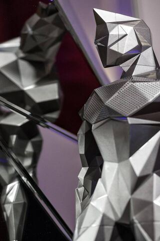 Shattered Silhouette: The Art of Reflection