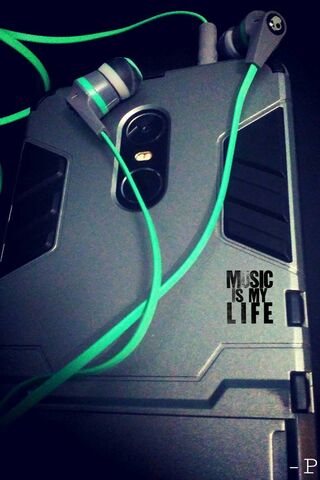 Melody in Every Moment 🎶